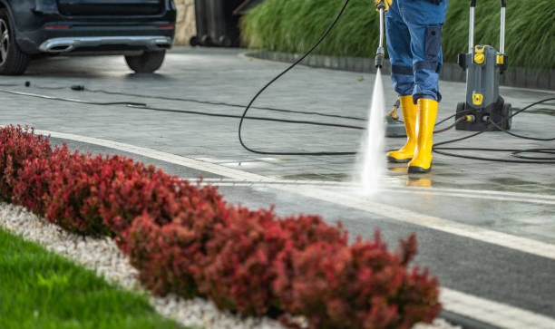 Best Roof Power Washing Services  in Anniston, AL