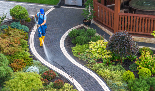 Best Roof Power Washing Services  in Anniston, AL